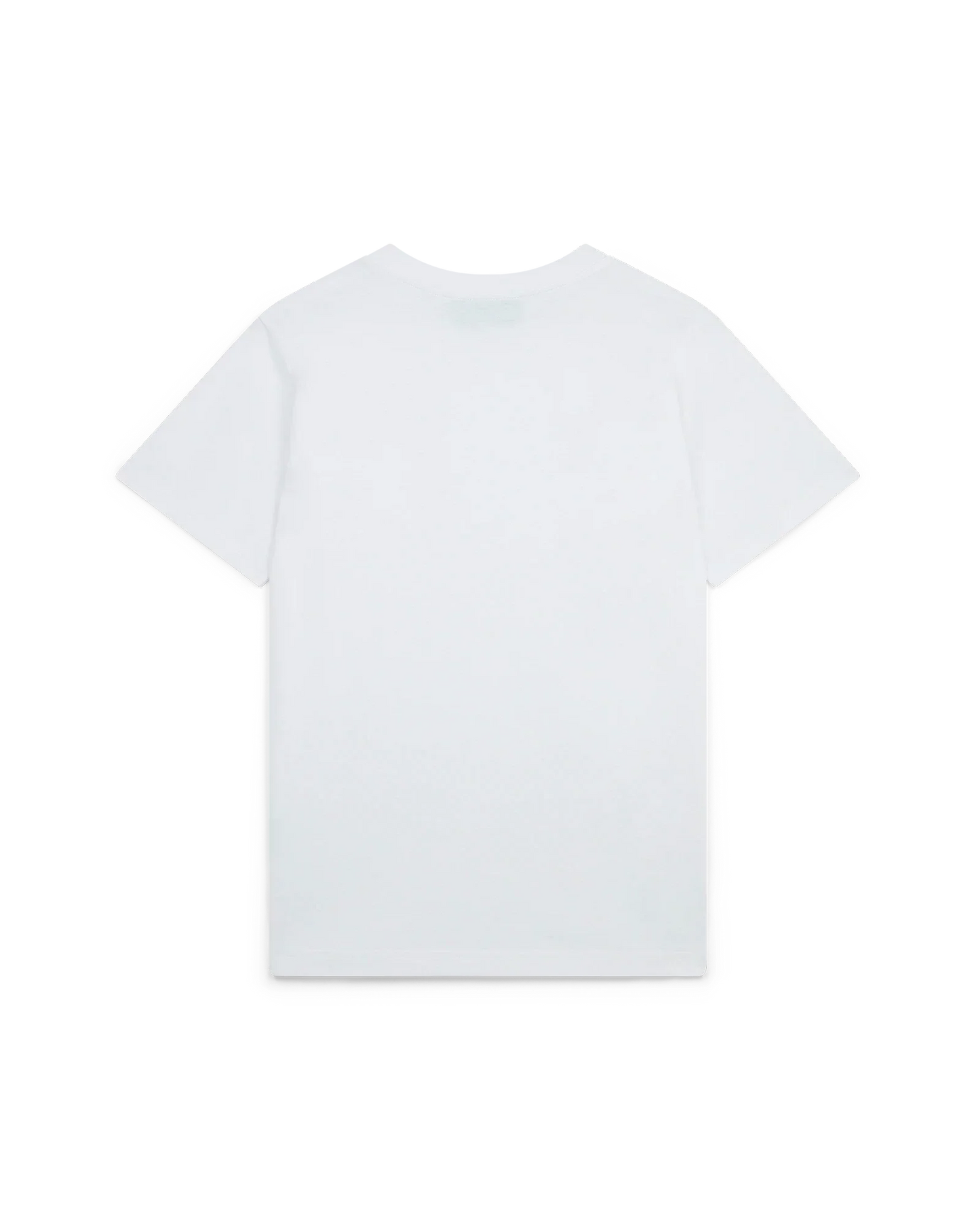 Playful Eagle T-Shirt