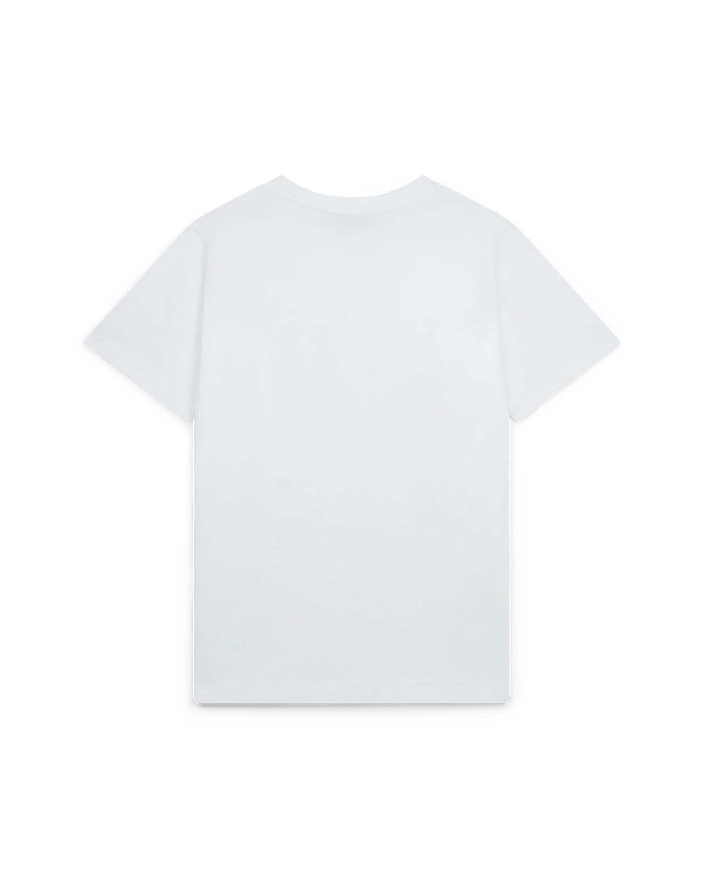 Unity Is Power T-Shirt